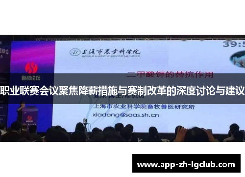 职业联赛会议聚焦降薪措施与赛制改革的深度讨论与建议