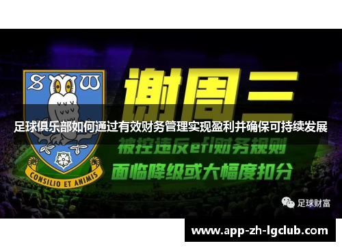 足球俱乐部如何通过有效财务管理实现盈利并确保可持续发展 足球俱乐部如何通过有效财务管理实现盈利并确保可持续发展