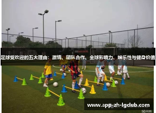 足球受欢迎的五大理由：激情、团队合作、全球影响力、娱乐性与健身价值